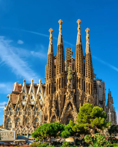 Tours & Attractions
